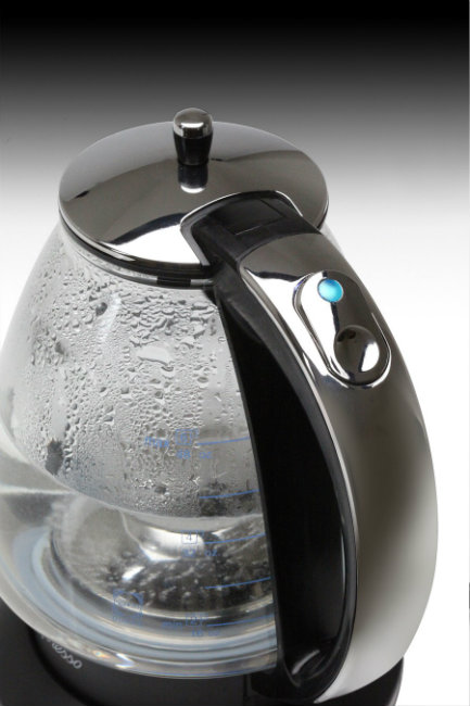 Capresso H2O Glass Rapid-Boil Kettle 