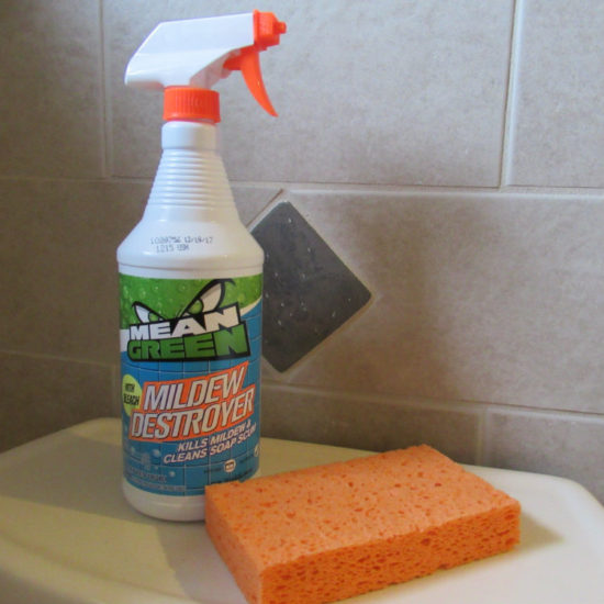 Mildew Destroyer with Bleach