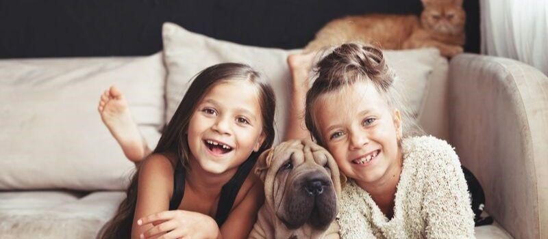 8 Realistic Tips to Keep a Clean House with Kids + Pets