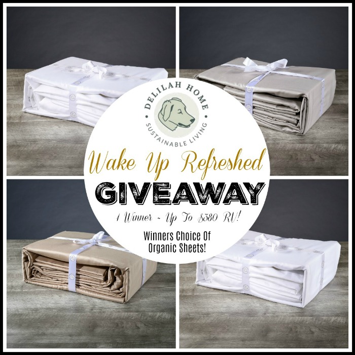 Delilah Home ‘Wake Up Refreshed’ Giveaway ~ Ends 6/30 @DelilahHome @DeliciouslySavv #MySillyLittleGang