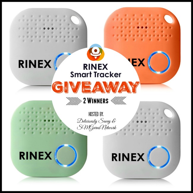 Rinex Smart Tracker Giveaway ~ Ends 6/30 @RinexSmartTracker @DeliciouslySavv #MySillyLittleGang