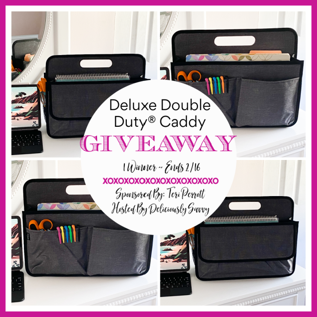 Deluxe Double Duty® Caddy Giveaway ~ 2/16 @TotesByTeri @deliciouslysavv #MySillyLittleGang