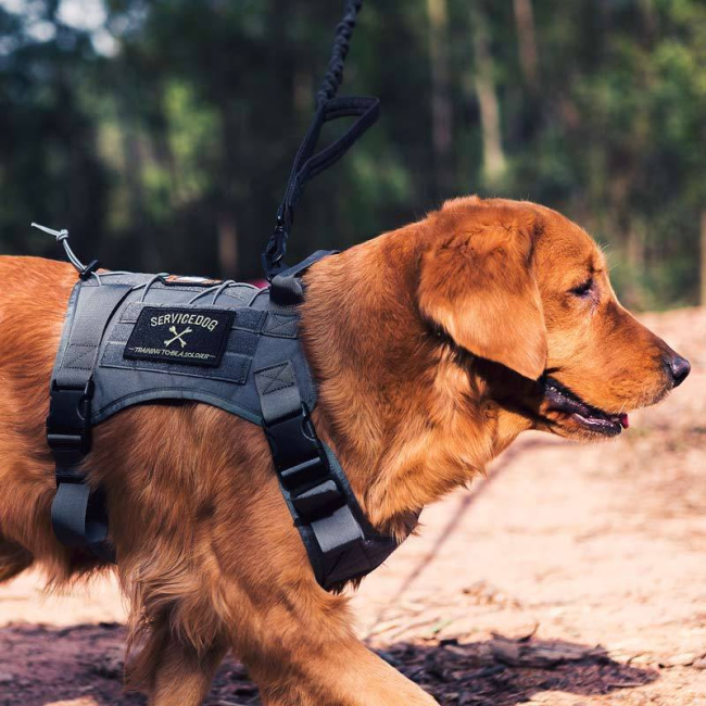 grey tactical dog harness