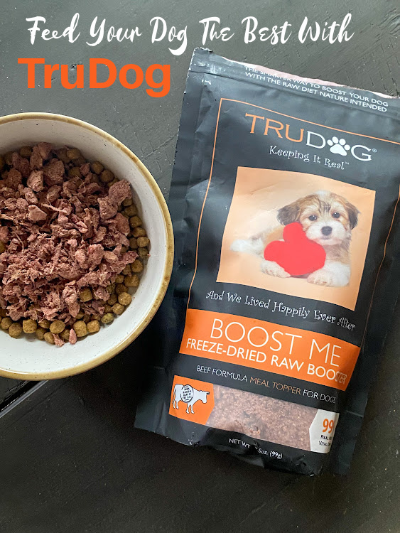 Feed Your Dog The Best With TruDog