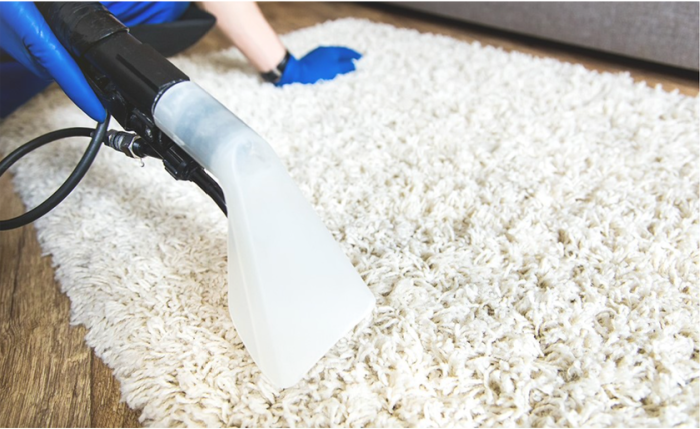 Top 5 Benefits Of Carpet Steam Cleaning