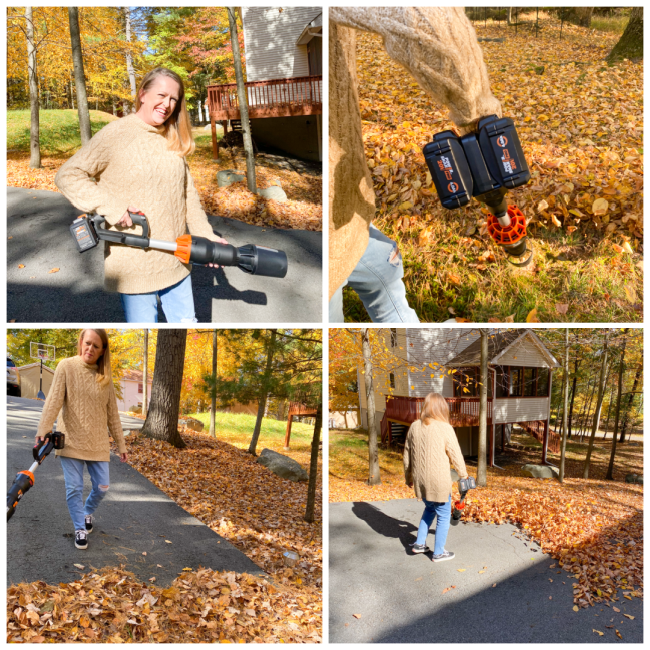 My Savvy Review Of The WORX 20V Power Share LeafJet Cordless