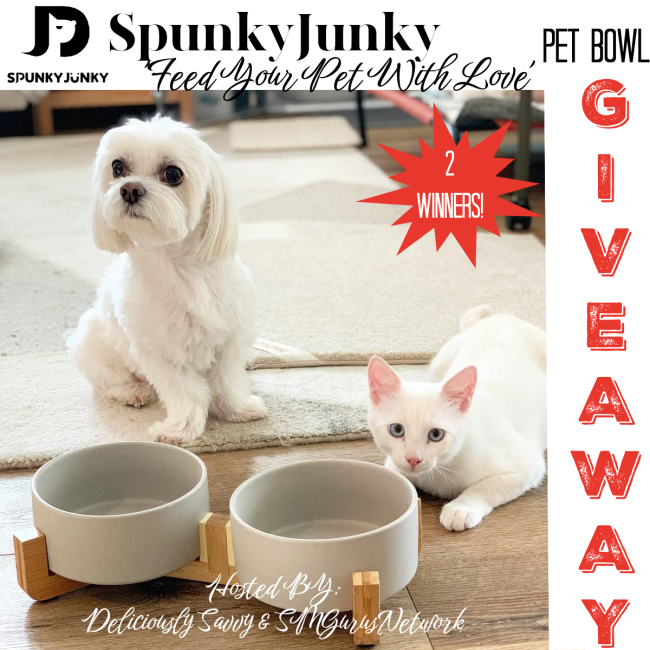 Pet Food Bowl Giveaway (Ends 2/20) @DeliciouslySavv @SpunkyJunky1