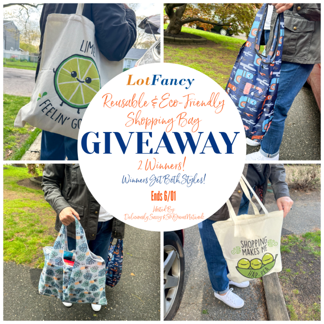 LotFancy Reusable & Eco-Friendly Shopping Bag Giveaway #MySillyLittleGang