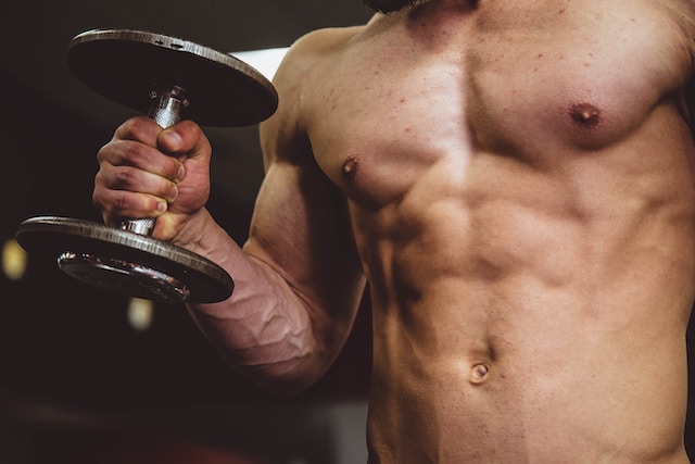 The Proven Muscle Building Workout Program for Mass - Steel Supplements