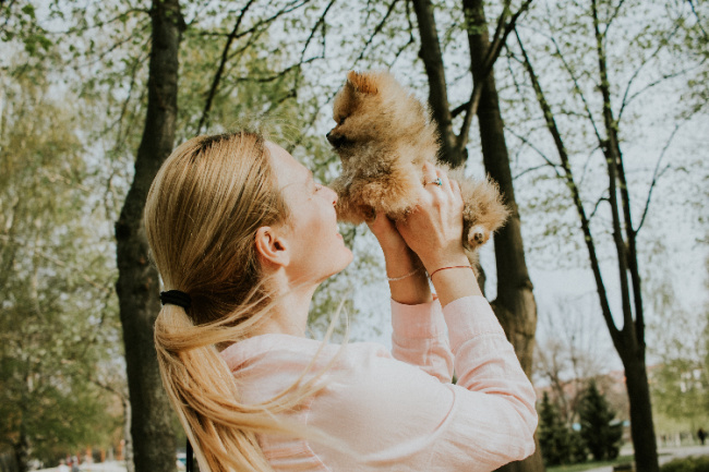 Best Dog Food For Pomeranian Puppies best-dog-food-for-pomeranian-puppies