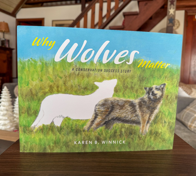 Wolves Conservation Book Why Wolves Matter: A Conservation Success Story Book Review # ...